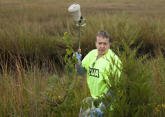 Absecon apartment residents clean up around nearby Route 9 fishing bridge