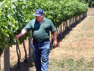 Jessie Creek Winery