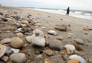  Beach rocks