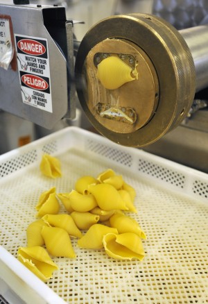 Conte pasta