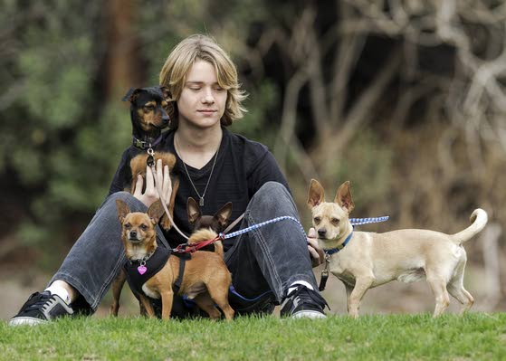 A shelter animal's best friend ... is just 16