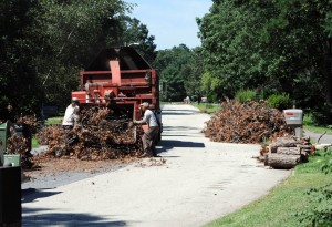 hamilton tree landfill