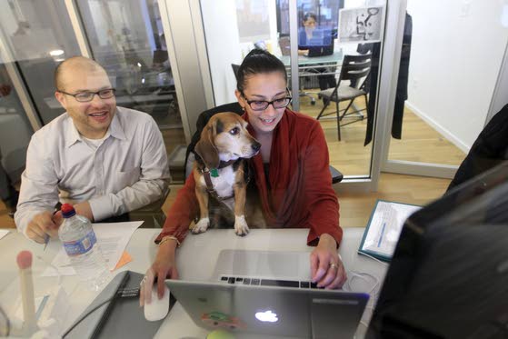 Bring your dog to work, just follow a few simple rules