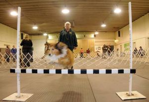 Pinelands K-9 Club gives dog owners needed help
