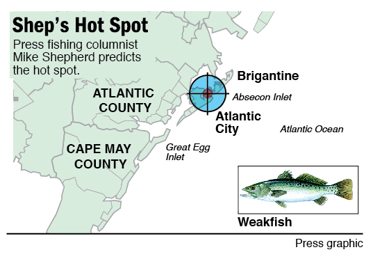shep on fishing weakfish off a.c.