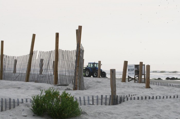 Beach Refuse
