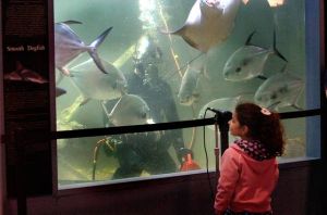 Holiday event at AC Aquarium and other events At The Shore Today