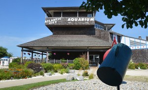 ac aquarium expansion