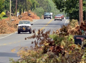 STORM DEBRIS