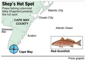 Hot Spot red drum off Cape May
