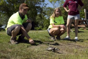 Devotion to turtles brings world to Middle Township