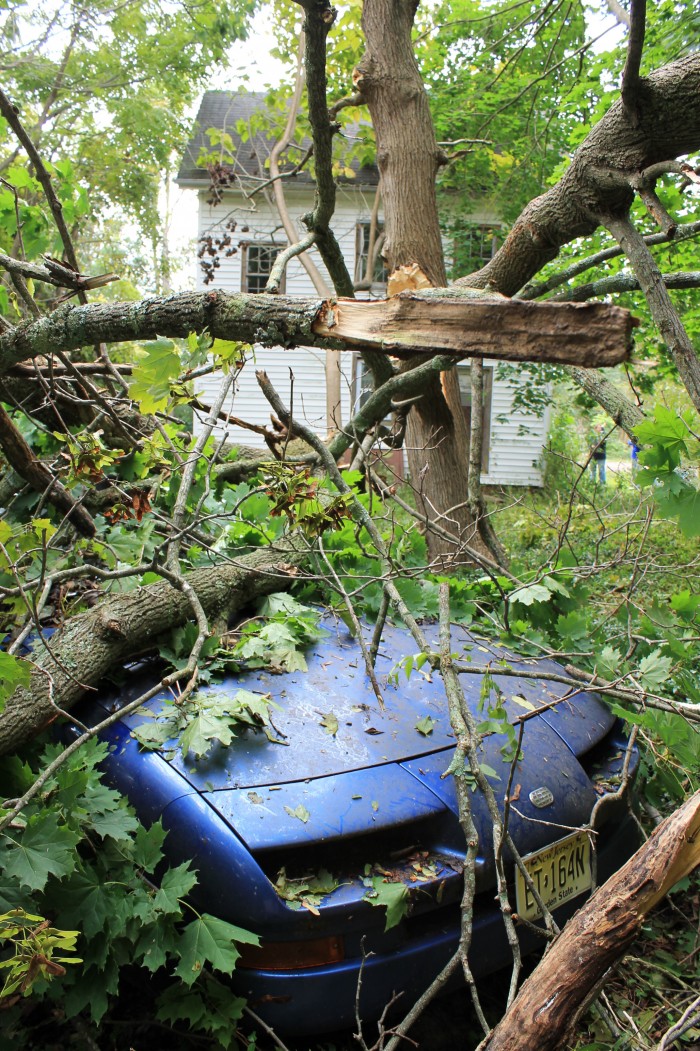 Port Republic Storm111352851.jpg