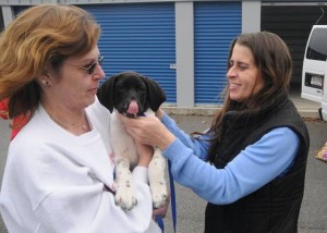 Driving for the dogsHammonton woman heading to Georgia to save puppies