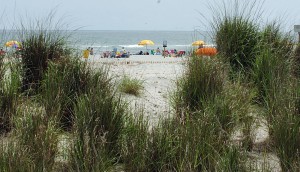 dunes