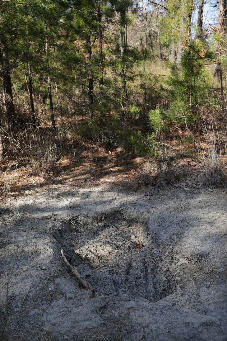 Revisit EHT BODY FOUND