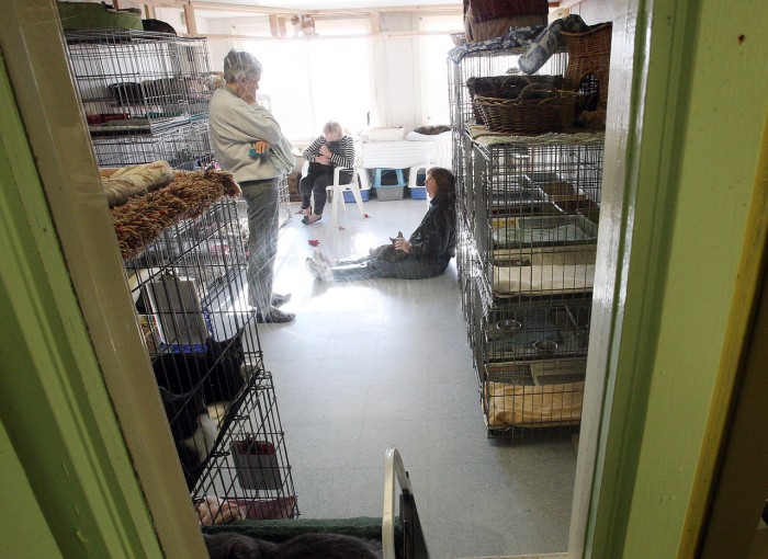  Humane society