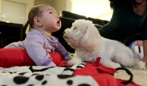 Baby on the way? Make time to prepare your pet