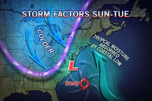 sandy factors