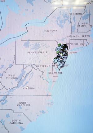 Atlantic city online gambling