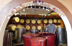 Wine tours in Cape May and other events At the Shore Today