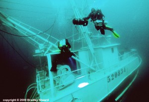 Lady Mary Wreck