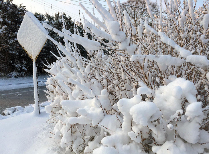 March Snow
