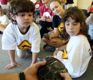 Turtle Release