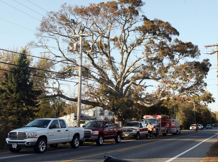 Tree Accident81004120.jpg