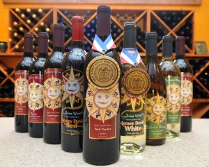 test4Belleview Winery4951763.jpg