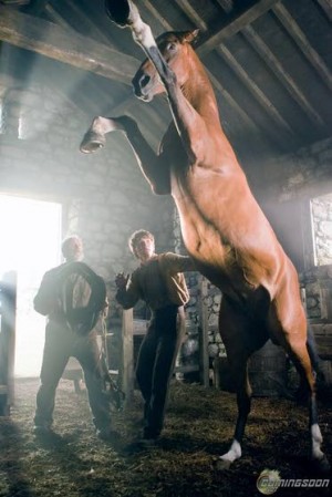 'War Horse' captures war, horse, misses people