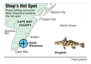 Hot spot Kingfish North Wildwood