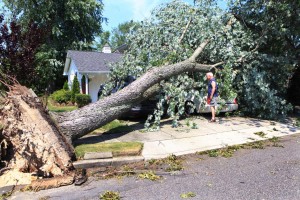 Storm Damage Sunday