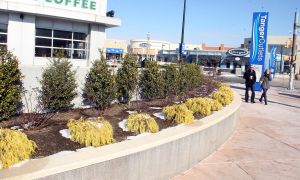 Tanger Outlets: Tanger Outlets has 'Tangerized' The Walk.
 - Photo by Ed Lea