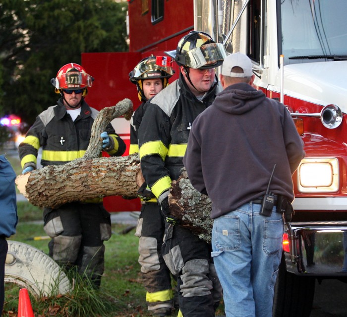 Tree Accident81008312.jpg
