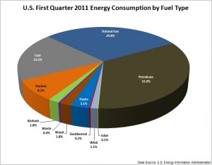 Energy Consumed in the U.S. by Fuel Type