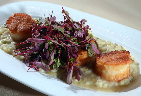 Traditional TransformationGioia offers classic Italian food with contemporary flair
