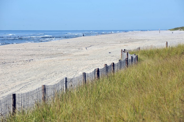 BEACH FILLS
