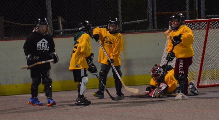 acbp j02 brig hockey league