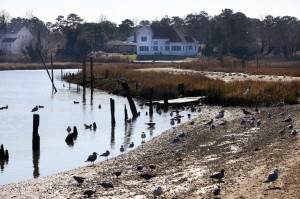 Absecon water access