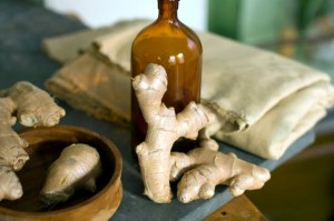 Ginger