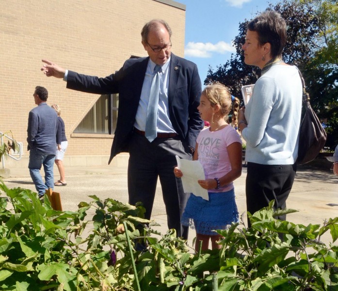 School garden