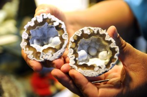 ehht s12 Rockhounds111143962.jpg