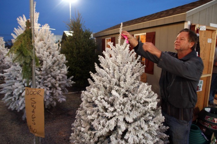 Christmas Trees