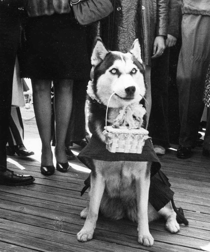 Easter Parade