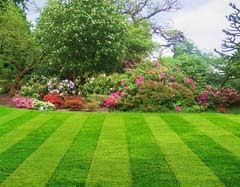 Green living tips