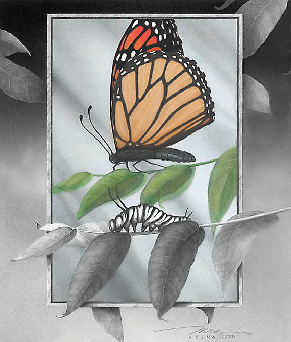 Watercolor