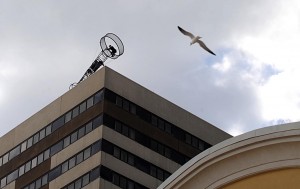 Wallenda
