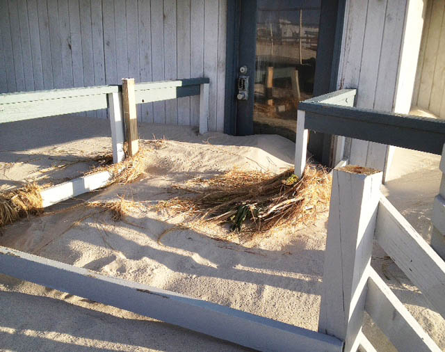 Sandy Friday