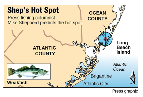 Shep's Hot Spot weakfish Beach Haven