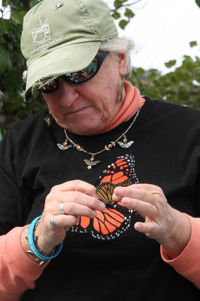 sandy monarchs